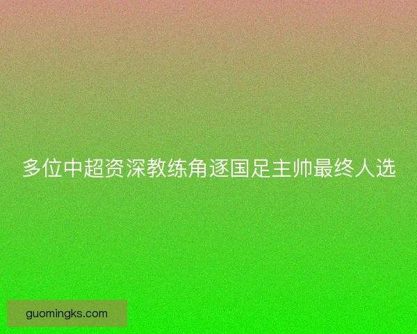 多位中超资深教练角逐国足主帅最终人选